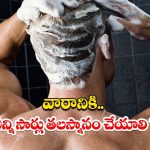 Tips For Hair Wash: వారానికి ఎన్ని సార్లు.. తలస్నానం చేయాలో తెలుసా ?