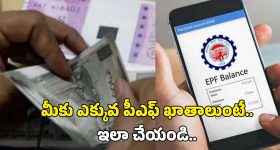 Merge PF Accounts: మీ ఎక్కువ పీఎఫ్ ఖతాలను ఇలా ఈజీగా మెర్జ్ చేసుకోండి..స్టెప్ బై స్టెప్ ప్రాసెస్