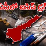 Drugs in AP: ఏపీలో ఉగ్రవాదులు ఉపయోగించే డ్రగ్స్ స్వాధీనం.. షాకైన అధికారులు