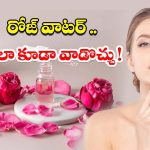Rosewater Toner: చర్మ సౌందర్యం కోసం.. రోజ్ వాటర్ ఇలా కూడా వాడొచ్చు తెలుసా ?