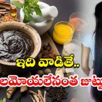 Fast Hair Growth Tips: ఇది వాడితే.. తల మోయలేనంత జుట్టు
