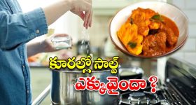 Salt Hacks: కూరల్లో సాల్ట్ ఎక్కువైందా ? ఇలా చేస్తే.. ప్రాబ్లమ్ సాల్వ్