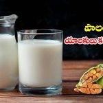 Cardamom Milk: పాలలో.. ఏలకులు కలిపి తాగితే ?