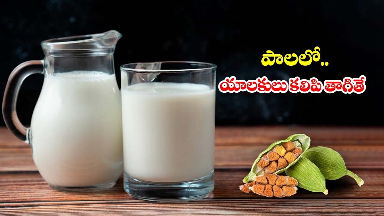 Cardamom Milk: పాలలో.. ఏలకులు కలిపి తాగితే ?