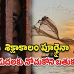 Pakistan Jail Indian Suicide: పాకిస్తాన్ జైల్లో భారతీయుడు ఆత్మహత్య.. 2 ఏళ్లో 9 మంది మృతి