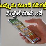 Warning Apps: మొబైల్ ఫోన్లతో భూకంపాలను ముందే పసిగట్టవచ్చు, జస్ట్ ఇలా చేస్తే చాలు