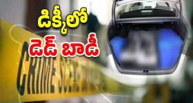 Sreeleela: 'నువ్వే నా జీవితం'.. కార్తిక్ ఆర్యన్‌తో శ్రీలీల రొమాంటిక్ మూమెంట్