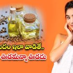 Castor Oil: ఆముదం ఇలా వాడితే.. జుట్టు ఊడమన్నా ఊడదు