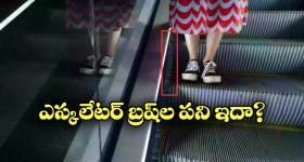 Malayala Thriller Movies OTT : ఓటీటీలోకి రాబోతున్న మలయాళ థ్రిల్లర్ మూవీస్.. ఎక్కడ చూడొచ్చంటే..?