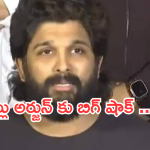 Allu Arjun : అల్లు అర్జున్ కు హ్యాండ్ ఇచ్చిన బడా ప్రొడ్యూసర్.. ఏం జరిగిందంటే..?