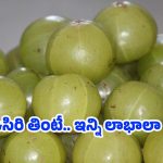 Amla Health Benefits: ప్రతి రోజు ఉదయం ఉసిరి తింటే.. అనేక లాభాలు !