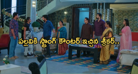 Intinti Ramayanam Today Episode : శ్రీయకు నెక్లేస్ ఇచ్చిన పల్లవి పై శ్రీకర్ సీరియస్.. పల్లవి ప్లాన్ కు శ్రీయ బలి..