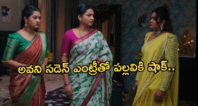 Intinti Ramayanam Today Episode : ప్రణతి కోసం టీచర్ గా అడుగుపెట్టిన అవని.. షాక్ లో పార్వతి..