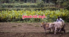 Balakrishna: ఫ్లాప్ ఇచ్చిన దర్శకుడికి బాలయ్య మరో ఛాన్స్.. అంత రిస్క్ అవసరమా.?
