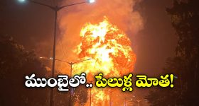 Gas Cylinder Explodes Mumbai: గ్యాస్ సిలిండర్ల ట్రక్కులో మంటలు, పేలుళ్లతో దద్దరిల్లిన ముంబై.. వీడియో వైరల్!