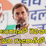 Rahul Gandhi Gujarat Congress: కాంగ్రెస్‌లో ఉంటూ బిజేపీ కోసం పనిచేస్తున్నారు.. పార్టీ నాయకులపై రాహుల్ ఫైర్