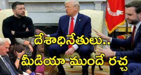 Oil For Thick Hair: ఈ ఆయిల్స్ వాడితే.. జుట్టు ఒత్తుగా పెరగడం పక్కా !