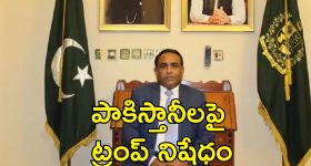 Pakistan Ambassador US Entry: అమెరికాలో పాకిస్తాన్ రాయబారికి అవమానం.. వీసా ఉన్నా విమానాశ్రయంలో అనుమతి నిరాకరణ