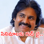 Pawan Kalyan : సినిమాలకు పవన్ కళ్యాణ్ గుడ్ బై.. అడ్వాన్స్ వెనక్కి ఇస్తాడా..?