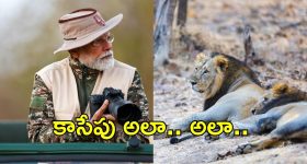 PM Modi in Gir safari: గిర్ సఫారీలో పీఎం మోదీ.. స్పెషల్ ఏంటి?