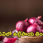 Onion Health Benefits: సమ్మర్‌లో ఉల్లి తింటే.. బోలెడు ప్రయోజనాలు !