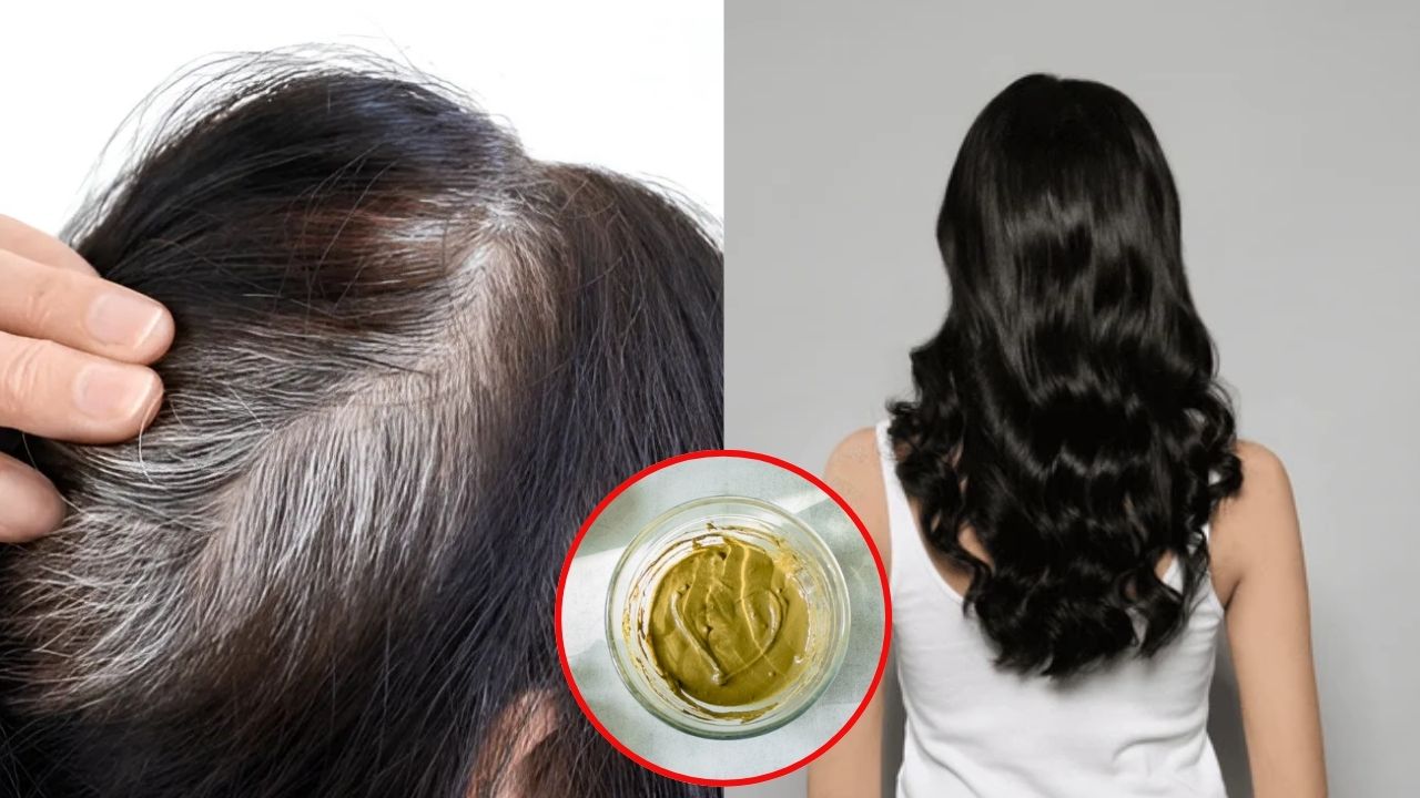 Henna Appling For White Hair: హెన్నాలో ఈ ఒక్కటి కలిపి వాడితే.. తెల్ల జుట్టు నల్లగా మారడం పక్కా !