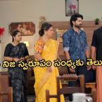 Satyabhama Today Episode : హర్ష గురించి ఫీల్ అవుతున్న నందిని.. సంజయ్ గురించి సంధ్యకు నిజం తెలుస్తుందా..?