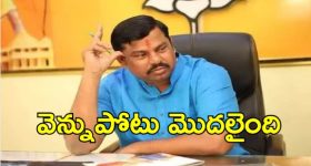 MLA Raja Singh: పార్టీ నేతలపై కీలక కామెంట్స్.. కుట్ర జరుగుతోందని ఆవేదన