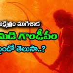 Arjuna’s Gandiva: కురుక్షేత్ర యుద్దం ముగిశాక అర్జునుడి గాండీవం ఏమైందో తెలుసా..? అర్జునుడు అలా చేస్తాడని పాండవులు కూడా ఊహించలేదట