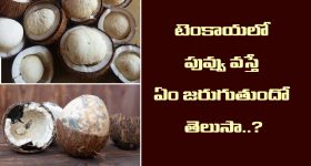 Kerala Trip: సమ్మర్ హాలీడేస్‌లో కేరళాకు వెళ్లొచ్చా? వేసవిలోనూ చల్లగా ఉండే ప్లేస్‌లు ఏమిటీ?