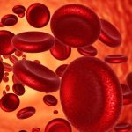 Anemia: ఎనీమియాతో ఇబ్బంది పడుతున్నారా? ఈ ఫుడ్స్‌ని డైట్‌లో యాడ్ చేసి చూడండి..