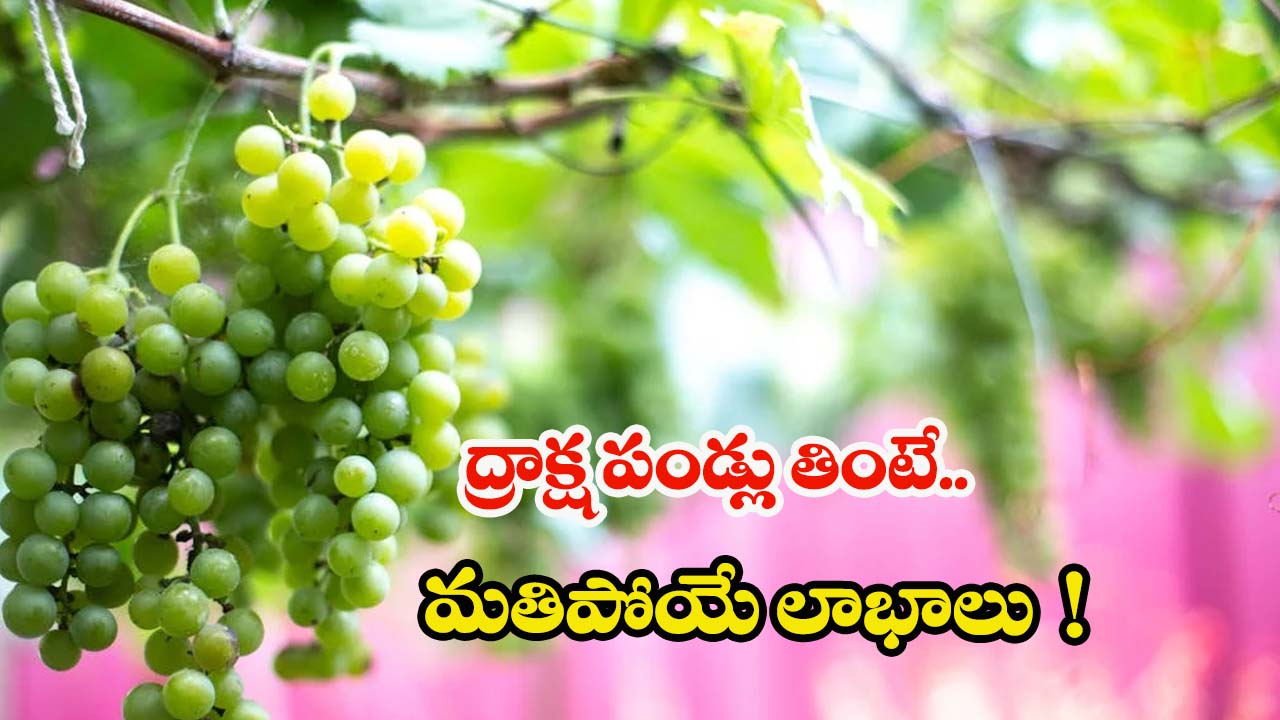 Green Grapes: ద్రాక్ష పండ్లు తినడం వల్ల ఎన్ని ప్రయోజనాలుంటాయో తెలిస్తే.. ఆశ్చర్యపోతారు !