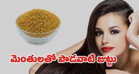Fenugreek Seeds For Hair: మెంతుల్లో ఈ ఒక్కటి కలిపి వాడితే.. జుట్టు ఊడమన్నా ఊడదు