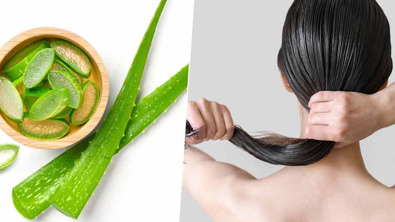 Aloe Vera For Hair: సమ్మర్‌లో ప్రతి ఒక్కరూ తప్పకుండా వాడాల్సిన హెయిర్ మాస్క్ ఇదే !