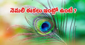 CM Revanth Reddy : ఓ చిన్నారిపై పేపర్లో న్యూస్.. సీఎం రేవంత్‌రెడ్డి ఏం చేశారంటే..