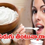 Curd Benefits: ప్రతి రోజు ఒక కప్పు పెరుగు తింటే.. ఎన్ని ప్రయోజనాలో తెలిస్తే షాక్ అవుతారు