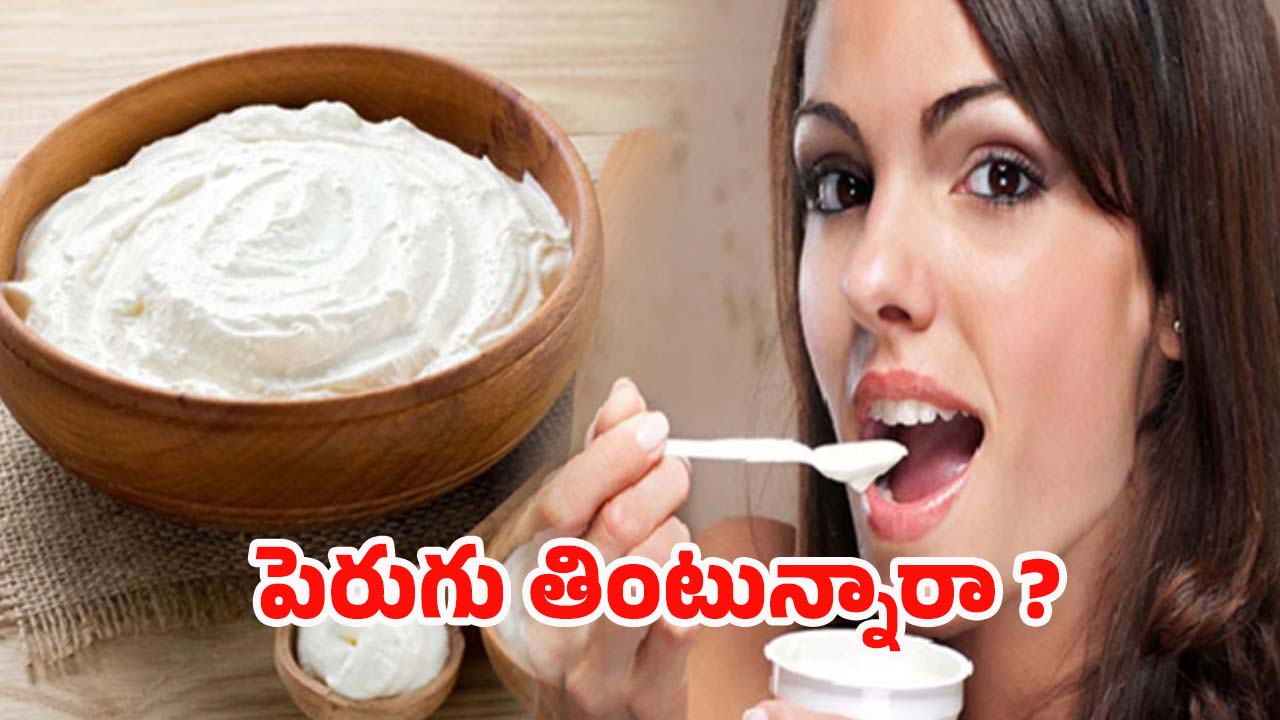 Curd Benefits: ప్రతి రోజు ఒక కప్పు పెరుగు తింటే.. ఎన్ని ప్రయోజనాలో తెలిస్తే షాక్ అవుతారు
