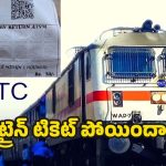 Train Ticket: ట్రైన్ టికెట్ పోయిందా ? ఏం పర్వాలేదు .. ఇలా చేస్తే కొత్త టికెట్