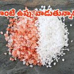 Salt: మీరు వాడే ఉప్పు సరైనదేనా ? ఇంతకీ.. ఎలాంటి ఉప్పు వాడుతున్నారు ?