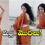 Ramya Gopal: నడుము అందాలు చూపిస్తు.. కెరీర్ పై దృష్టి పెట్టిన అలేఖ్య సిస్టర్ రమ్య!