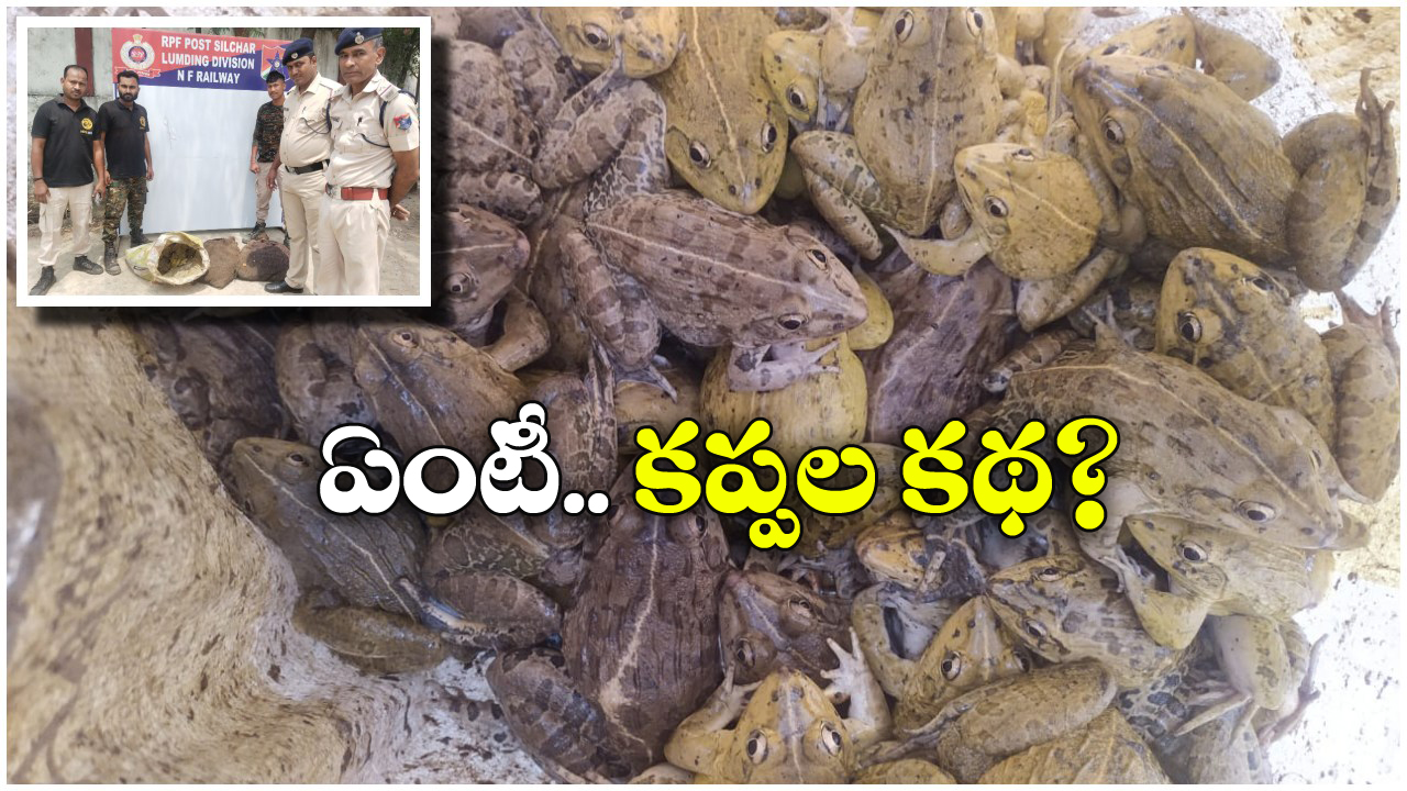 RPF Rescues Frogs: రైల్వే స్టేషన్ లో బస్తాల కొద్దీ కప్పలు.. ఓపెన్ చేసి చూసి రైల్వే పోలీసుల షాక్!