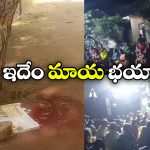Bapatla District: వేప చెట్టు వింత.. పరుగులు తీస్తున్న బాపట్ల జనం!