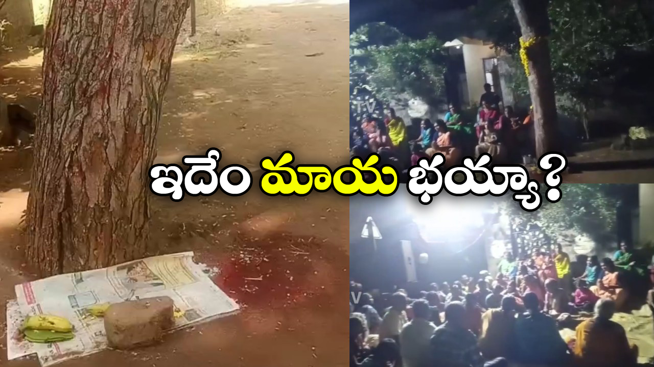 Bapatla District: వేప చెట్టు వింత.. పరుగులు తీస్తున్న బాపట్ల జనం!