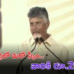CM Chandrababu Naidu: ఏపీలో మరో కొత్త పథకం అమలు.. వారందరికీ రూ.20,000