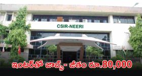 CSIR-NEERI Recruitment: ఇంటర్ పాసైన వారికి బంపర్ ఆఫర్.. ఈ జాబ్ కొడితే నెలకు రూ.80,000 జీతం భయ్యా..