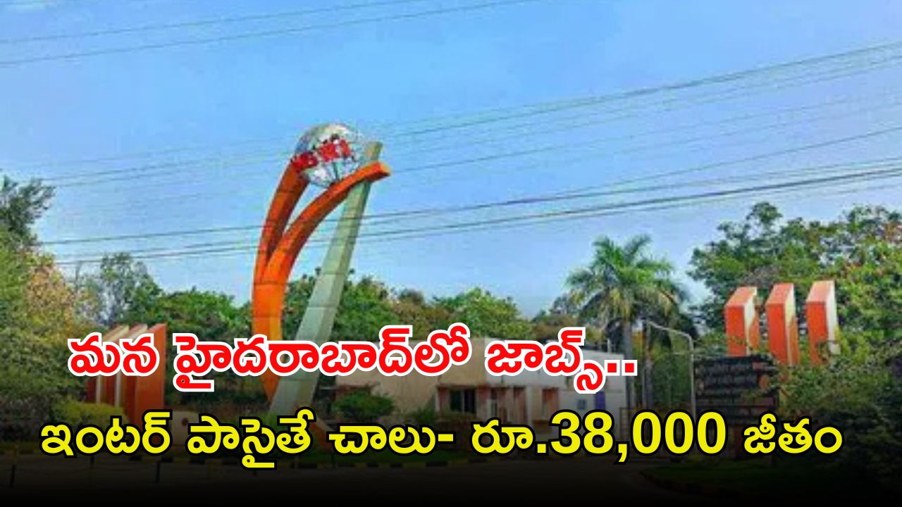 CSIR-NGRI: ఇంటర్ పాసైతే చాలు.. మన హైదరాబాద్‌లో ప్రభుత్వ ఉద్యోగం.. జీతమైతే నెలకు రూ. రూ.38,483