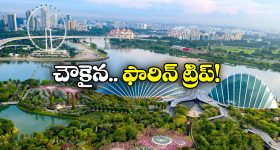 Detergent Powder in Ice Creams:  ఐస్ క్రీమ్ లో డిటర్జెంట్ పౌడర్.. తింటే పోవడం ఖాయం!