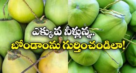Coconut water: నిండుగా నీళ్లున్న కొబ్బరి బోండాం కావాలా? సింఫుల్ గా ఇలా సెలక్ట్ చేసుకోండి!