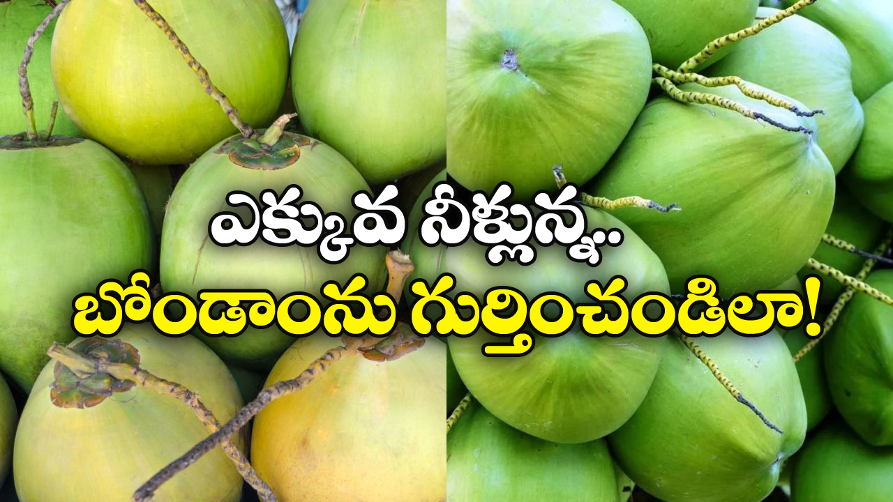 Coconut water: నిండుగా నీళ్లున్న కొబ్బరి బోండాం కావాలా? సింఫుల్ గా ఇలా సెలక్ట్ చేసుకోండి!