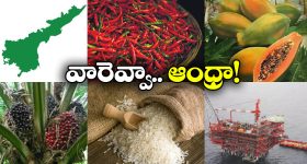 Facts about AP: ఇండియాకు ఏపీ ఇన్ని అందిస్తోందా? మీరు అస్సలు ఊహించి ఉండరు!